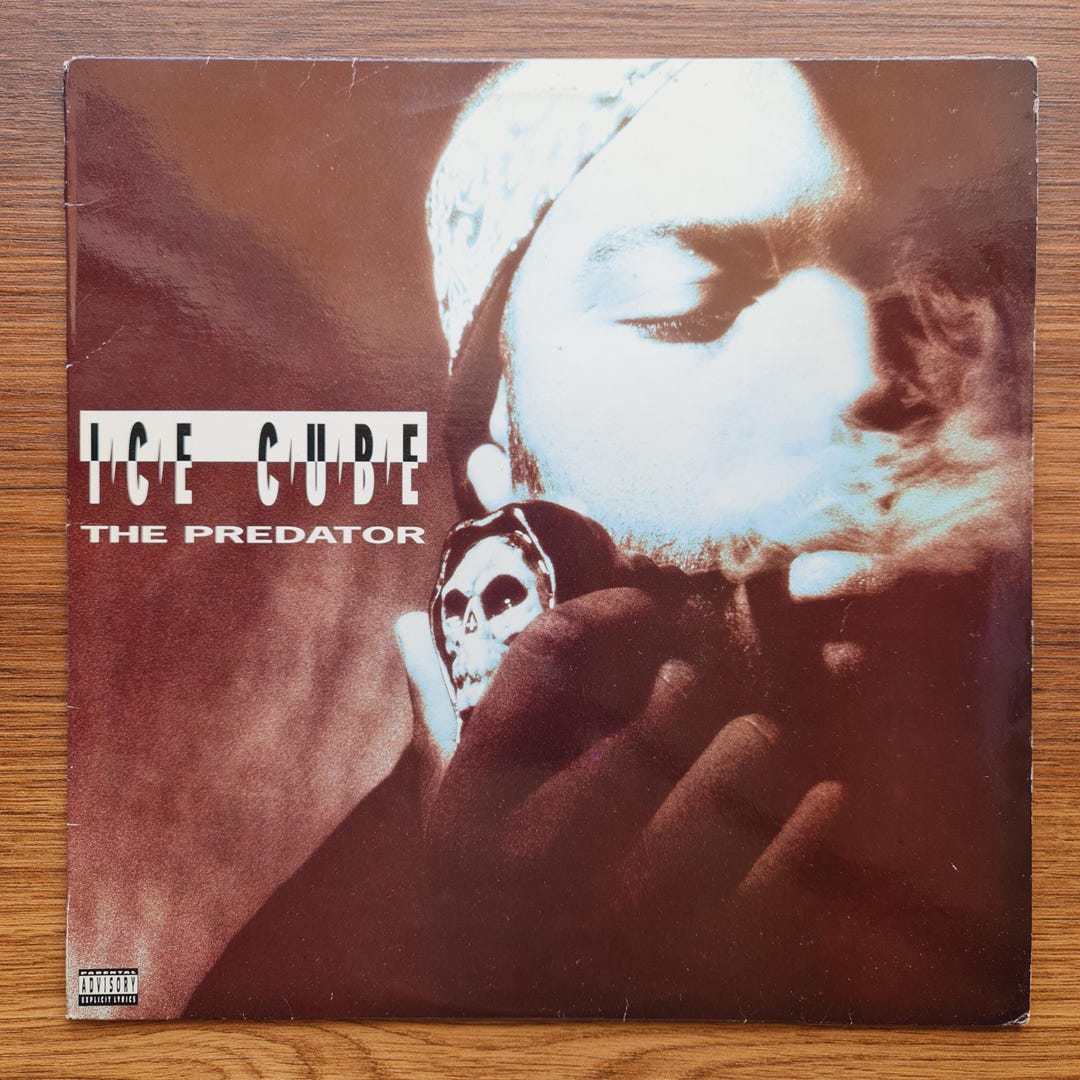 Ice Cube The Predator レコード Ice Cube / The Predator 12