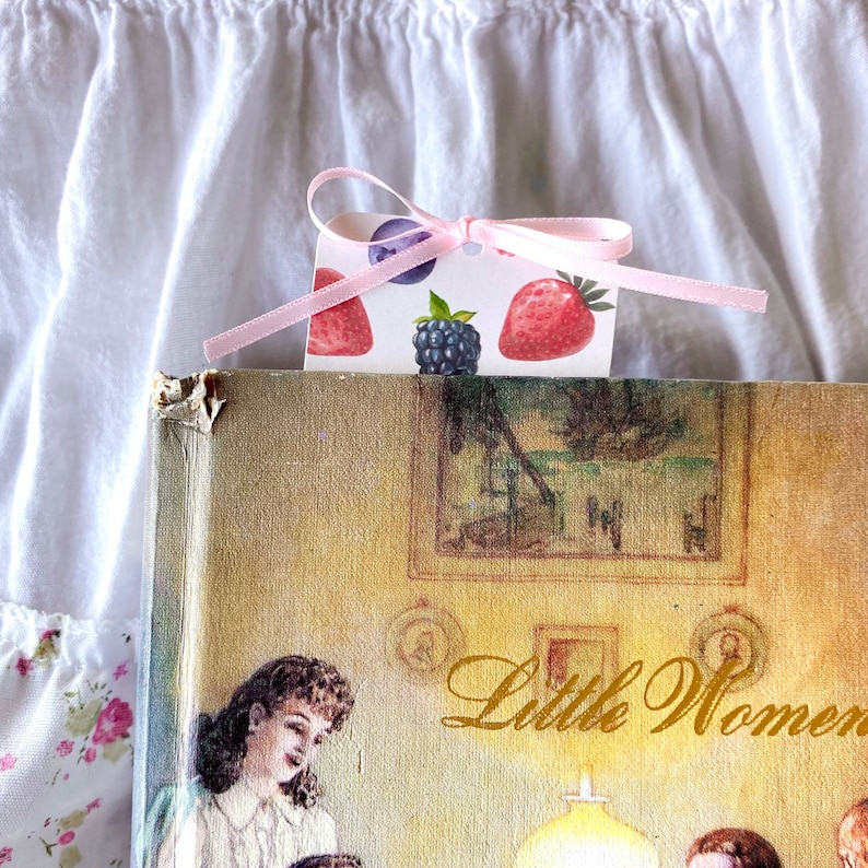 the fruit & berry set coquette style bookmarks image 4