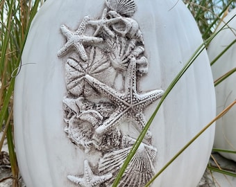 Large White Coastal Pumpkin