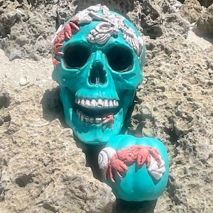 Coastal Halloween Skull With Mini Pumpkin bild 1