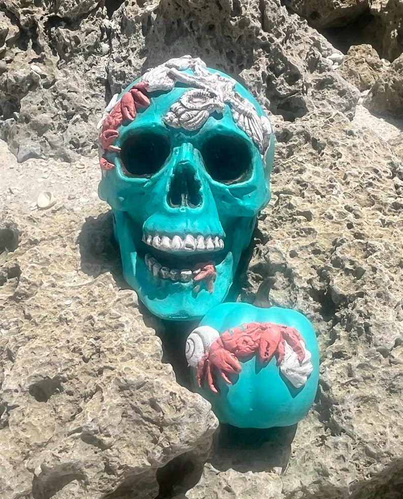 Coastal Halloween Skull With Mini Pumpkin bild 1