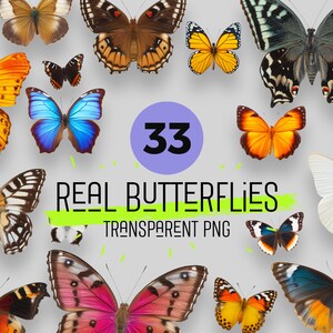 Arquivos SVG de pacote de borboleta fotorrealista, clipart floral de borboleta - borboletas reais em formato PNG, download instantâneo para uso comercial