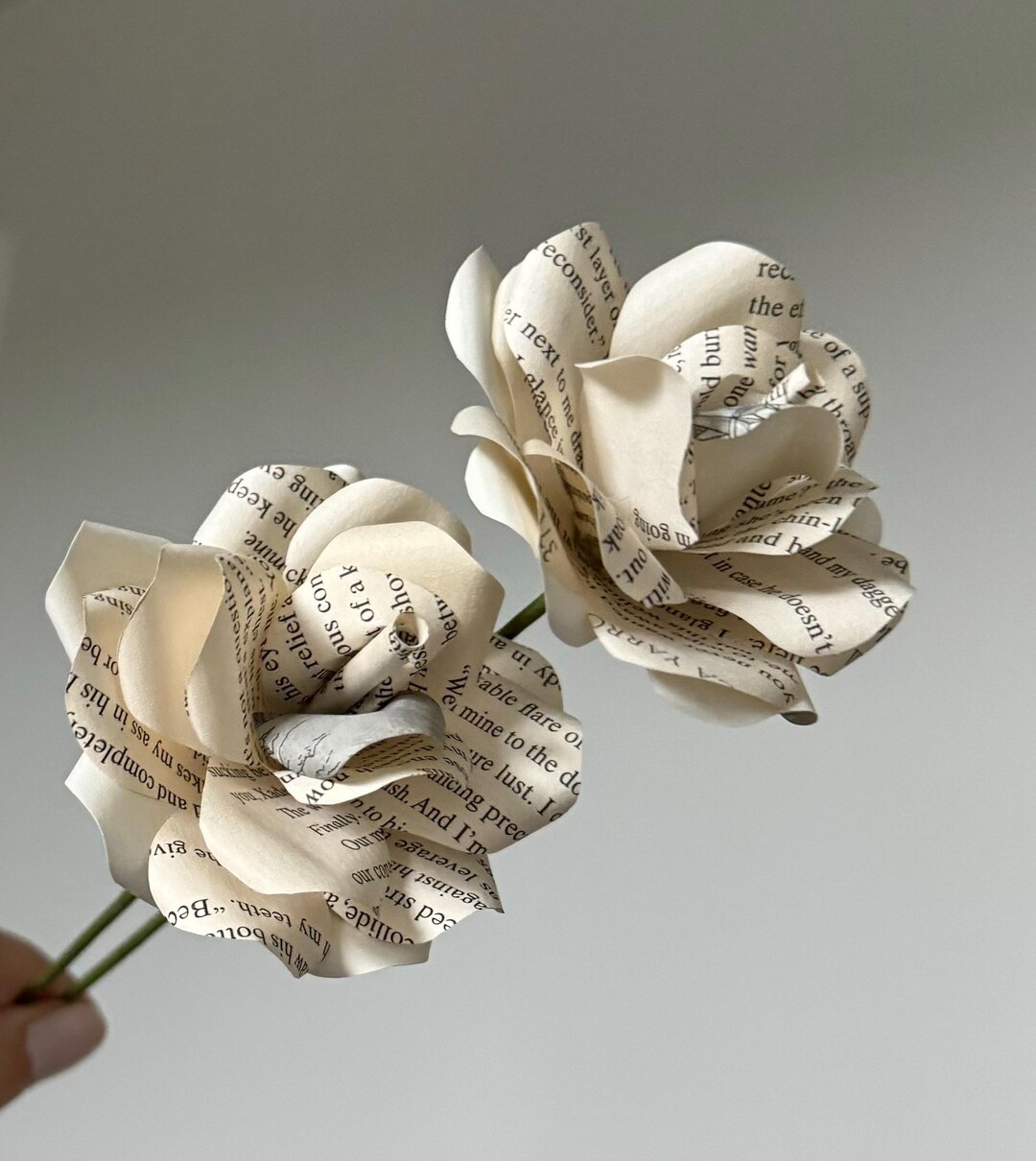 Edge of Darkness Trilogy Book Page Roses: Handmade Bookish Home Decor ...