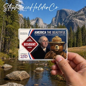 Può includere: Un pass per i parchi nazionali "America the Beautiful" in plastica trasparente è tenuto contro uno sfondo panoramico. Il pass presenta George Washington e Smokey Bear. Il testo sul pass include "America the Beautiful" e "Resident Annual".