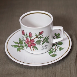 Hivernant | Tasse et soucoupe Décor 'Mauve' Coloris vert et rose (diamètre de la tasse 6,5 | hauteur 6 | diamètre de la soucoupe 13,5 cm) | Ancien