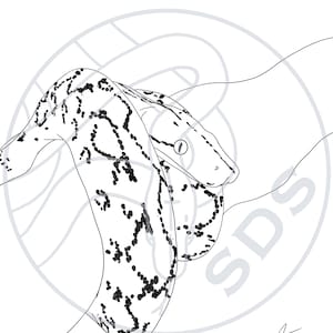 Super Dwarf Reticulated Python Snake Branch Coil Digital Line Art Print Reptile Design for Wall Decor T-Shirts Decals Stickers Gifts