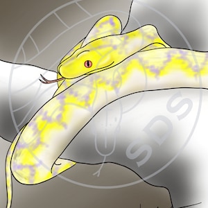 Super Dwarf Reticulated Python Yellow Snake Digital Art Color Print Coiled Reptile Design for Wall Decor T-Shirts Decals Stickers Gifts
