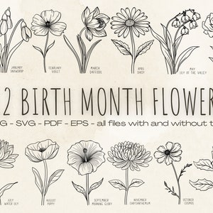 Geburt Monat Blumen, Geburt Blumen, Geburtstag Blume, Blume Clipart, botanische svg, Mohn svg, Gänseblümchen svg, Rose svg, Geburtsmonat Blume Png