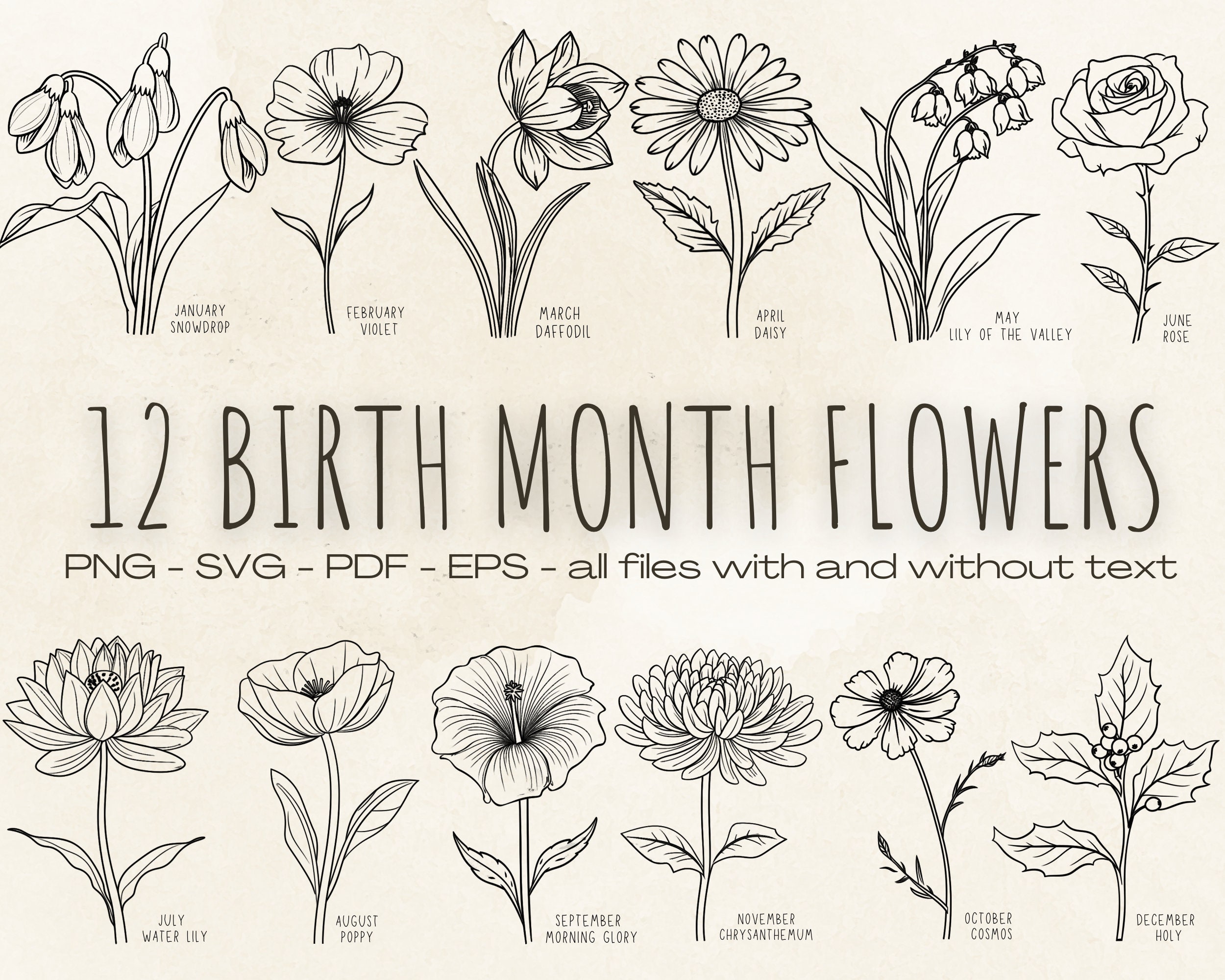 Birth Month Flowers, Birth Flowers , Birthday Flower, Flower Clipart ...