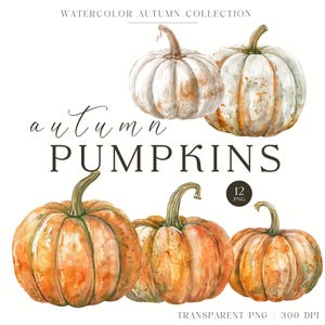 Aquarelle citrouille d'automne, cliparts décoration automne, graphiques PNG automne, Illustration automne, citrouille blanche, Halloween, licence commerciale