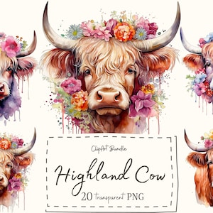 20 Highland Cow Flowers PNG, Aquarelle Highland clipart, Highland Cow, Baby Shower Decor, Boho Animal, Highland Cow SVG, Cow PNG Clipart