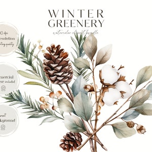 Watercolor Winter Greenery Clipart-Winter Botanicals Clipart-Watercolor Winter-Winter Stickers-Foliage-Commercial Use-PNG-Instant Download image 5