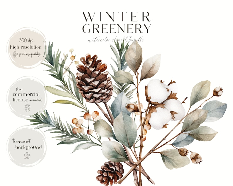 Watercolor Winter Greenery Clipart-Winter Botanicals Clipart-Watercolor Winter-Winter Stickers-Foliage-Commercial Use-PNG-Instant Download image 5