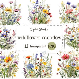 Floral Clipart -Wedding Clipart - Watercolor Wild Flowers - Wild Floral Clipart - Premade Clipart - Spring Clipart - Wild