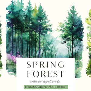Clipart foresta di primavera ad acquerello-Clipart bosco di primavera-Paesaggio forestale-Albero-Pino-Estate-Sensazione di primavera-Uso commerciale-Download immediato