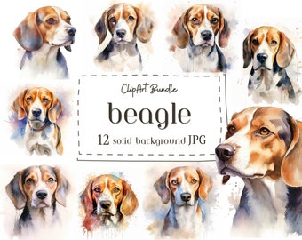 12 Beagle ClipArt, High Quality JPG, Dog ClipArt, Card Making, Digital Paper Craft, Wall Art, Scrapbook, Commercial License, Digital Design