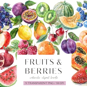 Clipart de frutas en acuarela, colección de bayas, bayas PNG, pegatinas de comida, gráficos de cocina, diario basura, álbum de recortes, uso comercial