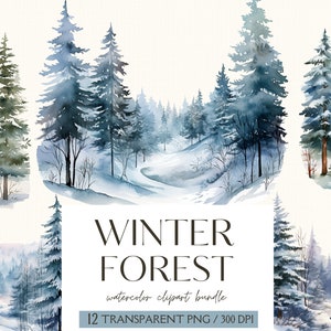 Clipart foresta invernale ad acquerello-Clipart bosco invernale-Paesaggio forestale invernale-Albero invernale-Foresta innevata-Uso commerciale-PNG-Download immediato
