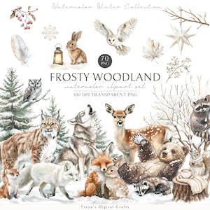 Clipart di animali del bosco invernale ad acquerello, animali carini, grafica invernale PNG, clipart per la cameretta dei bambini, cuccioli di animali invernali, bosco natalizio