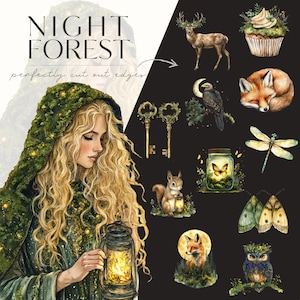 May include: A collection of watercolour illustrations featuring a magical forest scene with a woman in a green cloak holding a lantern, a deer, a fox, a squirrel, a cupcake, a dragonfly, a moth, an owl, a key, a jar with a butterfly, and a fox in the moonlight. The text "NIGHT FOREST" is written in large letters at the top of the image.