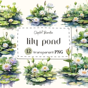 12 Aquarela Lily Pond Clipart - lindo nenúfar de primavera e lagoa de sapo download instantâneo em formato PNG para uso comercial