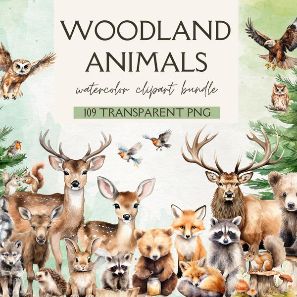 Animali del bosco, Animali della foresta ad acquerello PNG, Cuccioli di animali della foresta, Clipart per la cameretta, Cuccioli del bosco, Clipart della foresta, Cervo Orso Volpe Procione