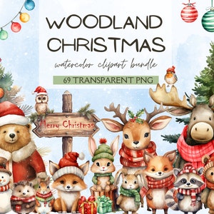 Bos kerst clipart, aquarel winter png, bos kerst dieren, kerst, clipart kinderkamer, bos baby's, herten beer wasbeer