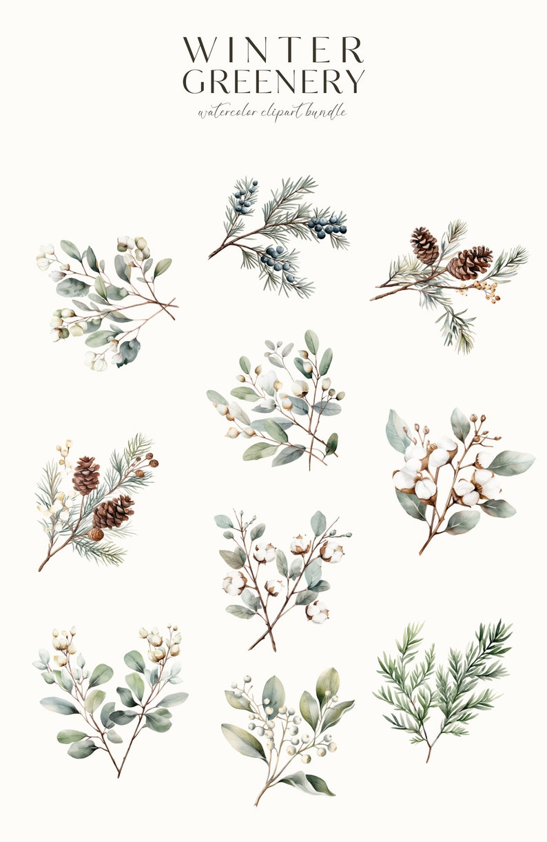 Watercolor Winter Greenery Clipart-Winter Botanicals Clipart-Watercolor Winter-Winter Stickers-Foliage-Commercial Use-PNG-Instant Download image 2