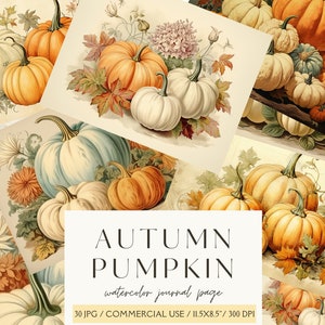 Pumpkins Vintage Ephemera Journal Pumpkin Junk Journal Bundle  Digital Paper for Scrapbooking Floral Printable Shabby Pages Instant Download
