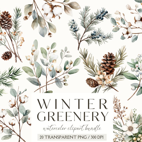 Aquarell Winter Greenery Clipart-Winter Botanicals Clipart-Aquarell Winter-Winter Aufkleber-Laub-Kommerzielle Nutzung-PNG-Instant Download