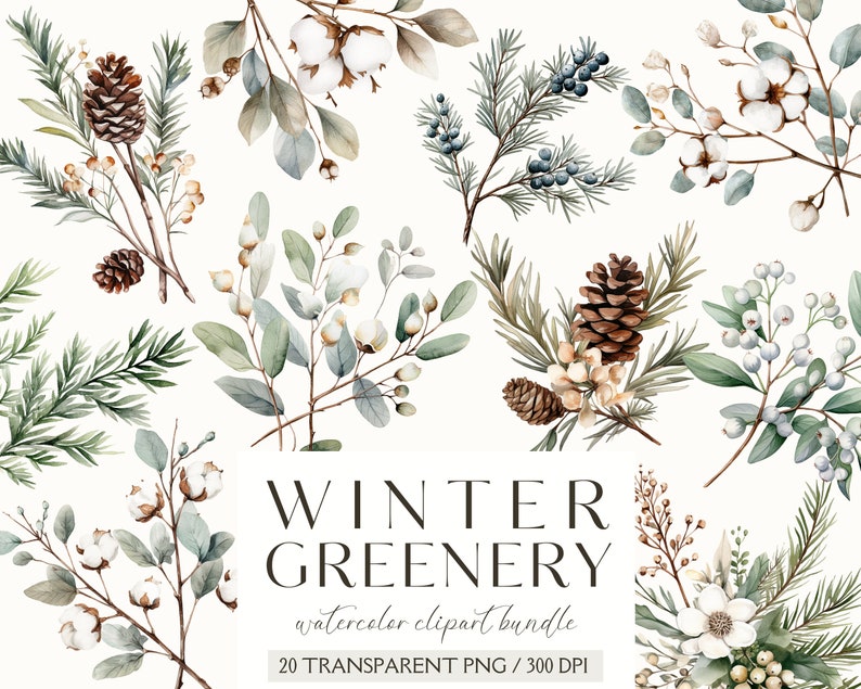 Watercolor Winter Greenery Clipart-Winter Botanicals Clipart-Watercolor Winter-Winter Stickers-Foliage-Commercial Use-PNG-Instant Download image 1