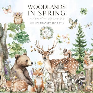 Waldtiere Clipart, Aquarell Frühling Waldtiere PNG, Wald Baby Tiere, Kinderzimmer Clipart, Waldbabys, Hirsch Bär Fuchs Waschbär