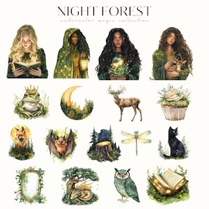 May include: A set of 15 watercolour illustrations featuring magical creatures and objects from a night forest. The illustrations include a frog wearing a crown, a crescent moon, a deer, a cupcake, a fox, a bat, a tree stump, a dragonfly, a black cat, a mirror, a dragon, an owl, and a book.