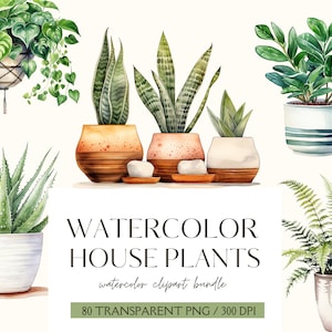 Imágenes prediseñadas de acuarela de plantas de interior Plantas de interior en acuarela Vegetación y follaje en acuarela Plantas en macetas Hojas en acuarela Descarga digital