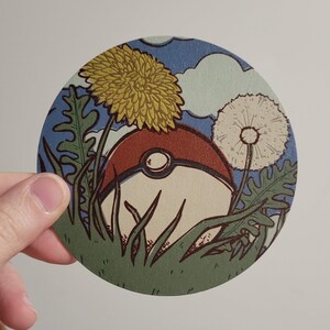 Pokeball Coaster