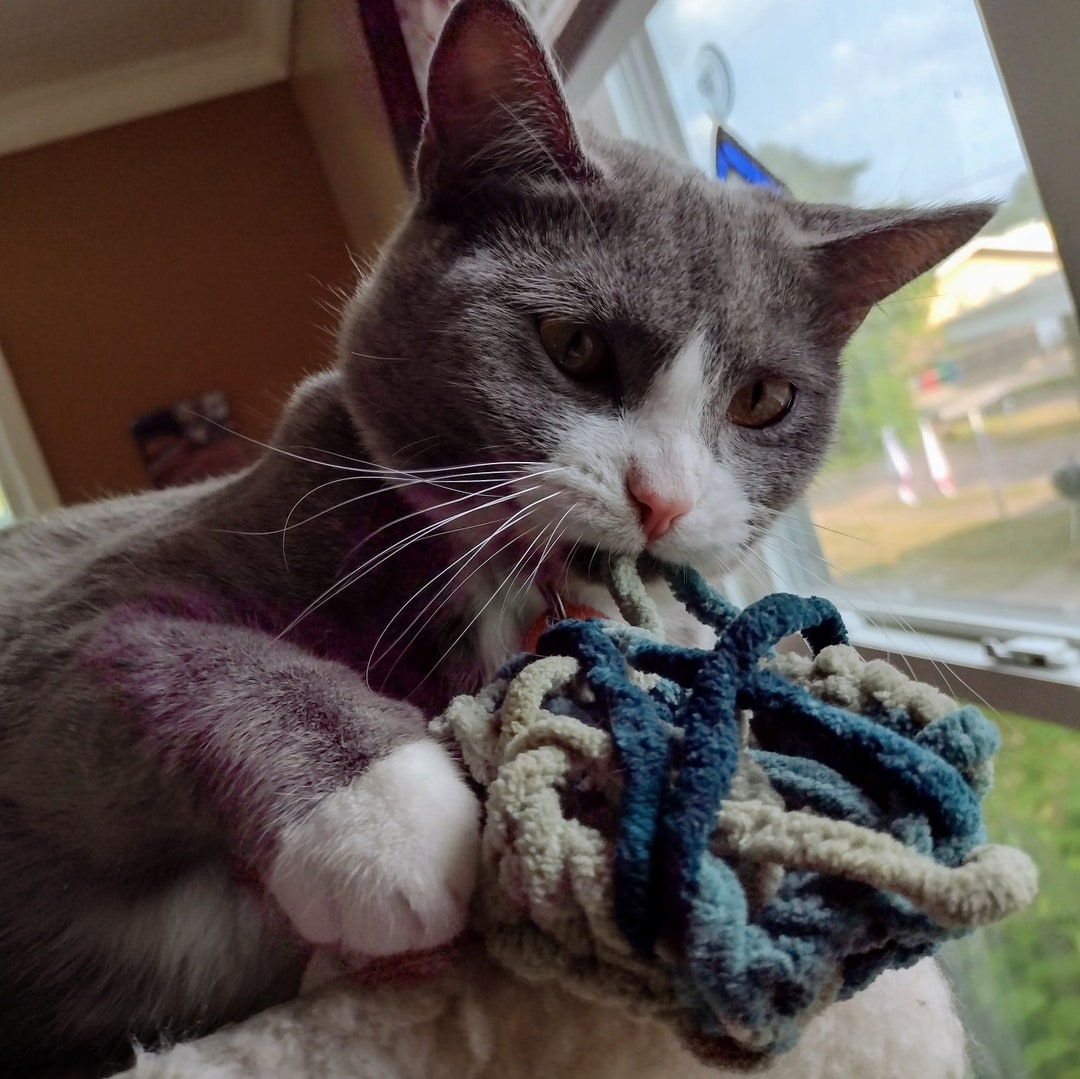 Crocheted Cat Toy Etsy