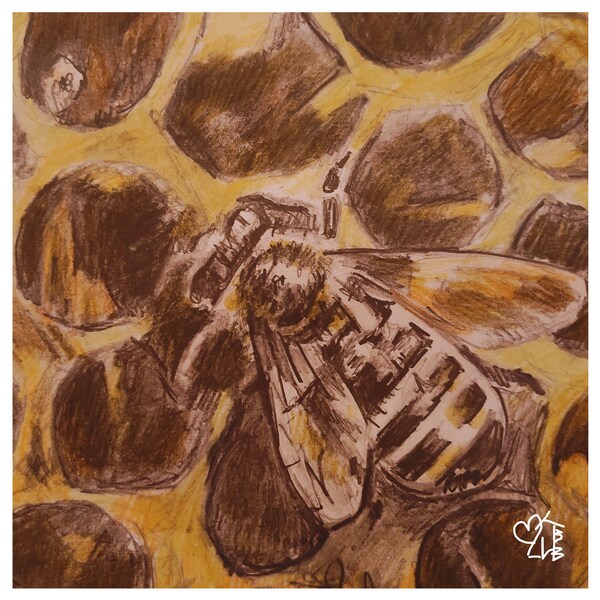 Bee & Honeycomb Print | Animals and Nature Artwork | Wildlife Artwork Prints | Lulu Marie Artwork | The Artsy Hut