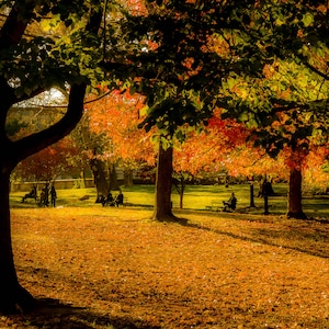 Prospect Park, Brooklyn, Fall Foliage and People