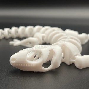 May include: White plastic 3D printed model of a lizard skeleton. The model is posed with its head raised and its tail curled.