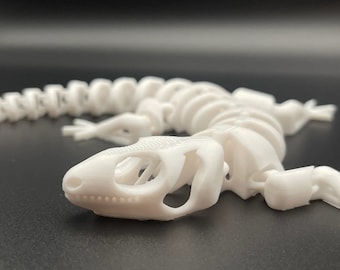 Esqueleto articulado de lagarto - Esqueleto de geco