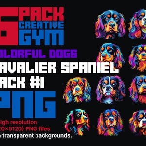 Colourful Cavalier King Charles Spaniel PNG Clip Art Digital Assets Transparent Background