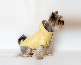 Yellow Dog Jacket for Autumn. Pet Spring Coat with Decorative Hood - Metal Button Closure, Noiseless Fabric, Gentle Fur-Friendly Lining