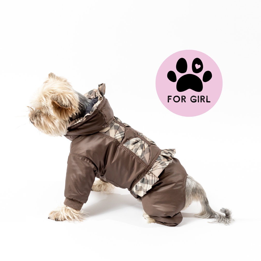 Bettedeals Designer Pet Clothes — Louis Vuitton Hoodie for your dog