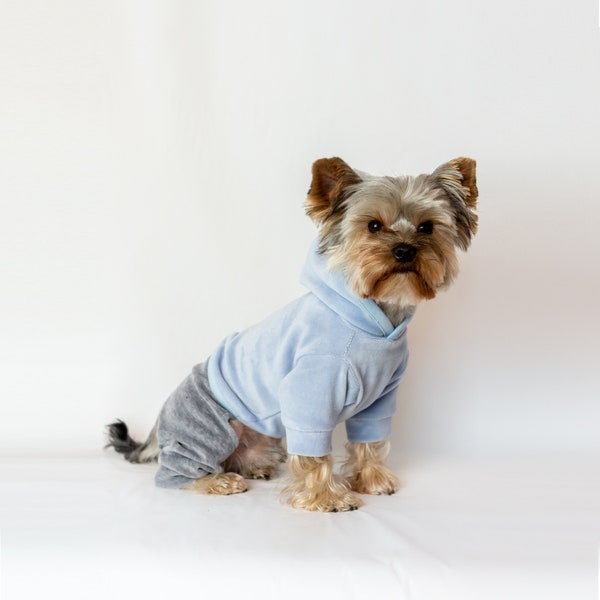 Dog Jumpsuit Velour with a sparkling rhinestone. Pink Blue velvet or Mint with hood and gray pants. Pet pajamas