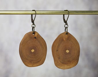 May include: Two wooden earrings with a natural, organic shape. Each earring is a light brown color with a darker brown grain pattern and a small, light-colored center. The earrings hang from bronze-colored ear wires.