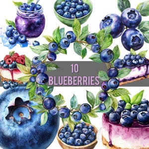 10 Bluberries | Watercolor PNG Clipart | Blueberry cheesecake, jam, in a bowl, wreath | Summer berry, fruit print | Printable digital art