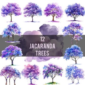 12 alberi di Jacaranda / Clipart PNG acquerello / Albero viola da favola / Albero subtropicale viola / Immagini stampabili / Jacaranda lilla e blu