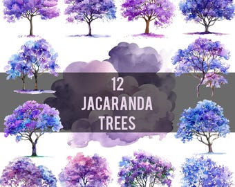 May include: Twelve watercolor illustrations of Jacaranda trees with purple and blue flowers. The trees are isolated on a white background.