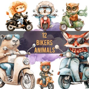 12 animali motociclisti / Clipart PNG ad acquerello, stampa / Capibara, volpe, leone, gufo, orso, coniglio, unicorno, riccio, rana, lama, gatto su una motocicletta