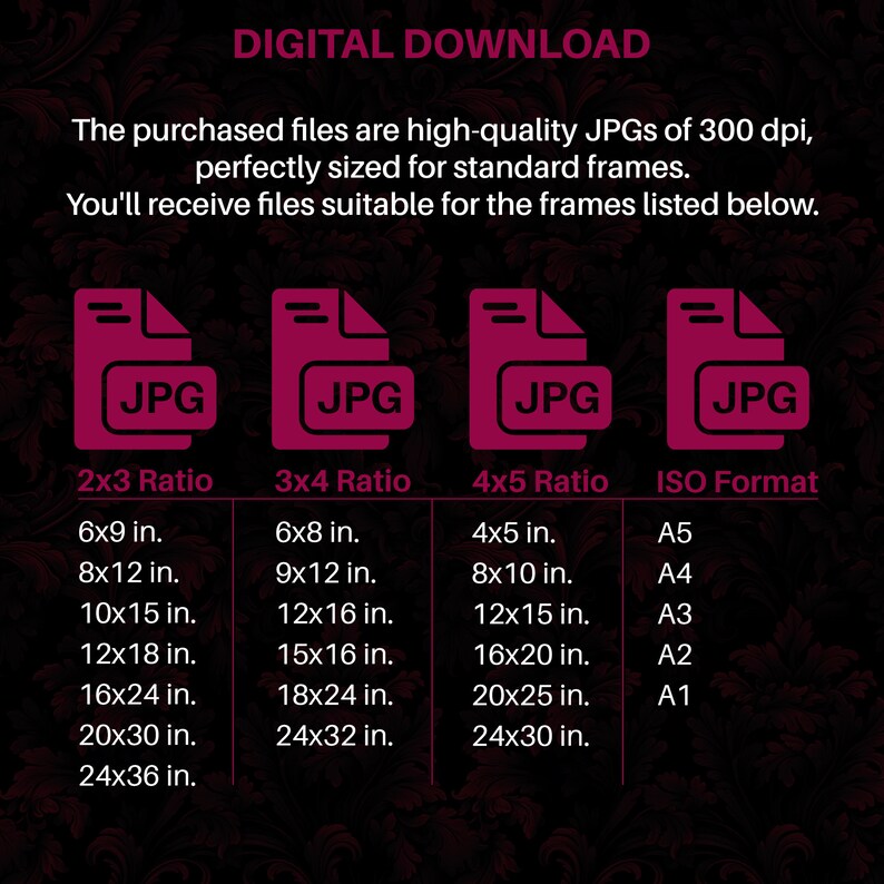 May include: A chart showing the different sizes of digital images available for download in JPG format. The chart includes 2x3, 3x4, 4x5 ratios and ISO standard sizes. The sizes are listed in inches for the ratios and in standard ISO paper sizes for the ISO format.